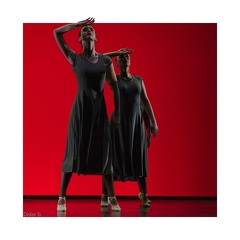 2016 Germinal 1 insta bordure blanche FE r1080V q100 s1