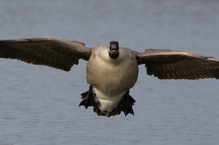 img 20140324 DSC 2447 edit 0002 FE r3840x2160 q95 s-1