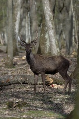 img 20140405 DSC 2926 edit 0001 FE r3840x2160 q95 s-1