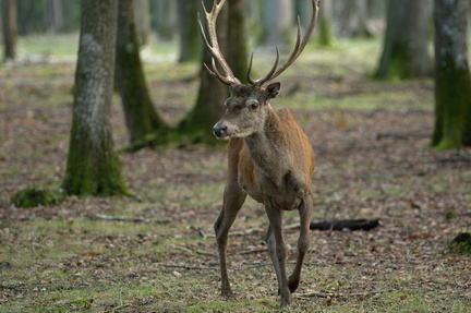 img 20141011 DSC 0697 edit FE r3840x2160 q95 s-1