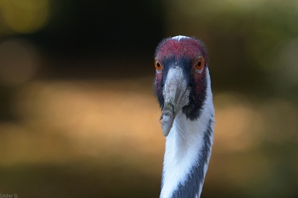 img 20141101 DSC 1829 edit FE r3840x2160 q95 s-1