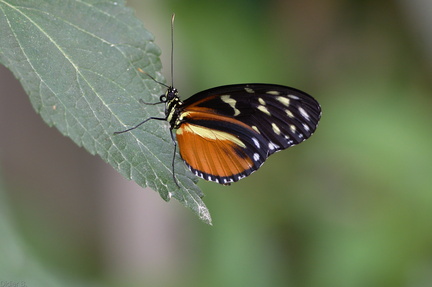 img 20150509 DSC 4752 edit FE r3840x2160 q95 s-1