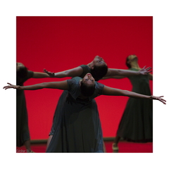 2016 Germinal 3 insta bordure blanche FE r1080V q100 s1