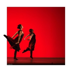 2022 Prendre le maquis 4 insta bordure blanche FE r1920x1080 q100 s1